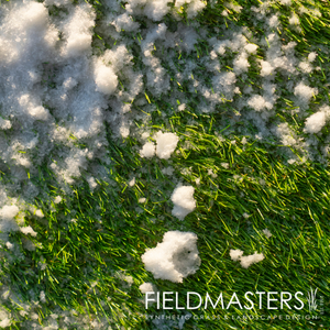 artificial grass with snow